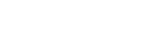 Logo Lifex